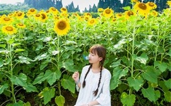 94年高中女孩车震